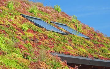 Great Welnetham living roof systems